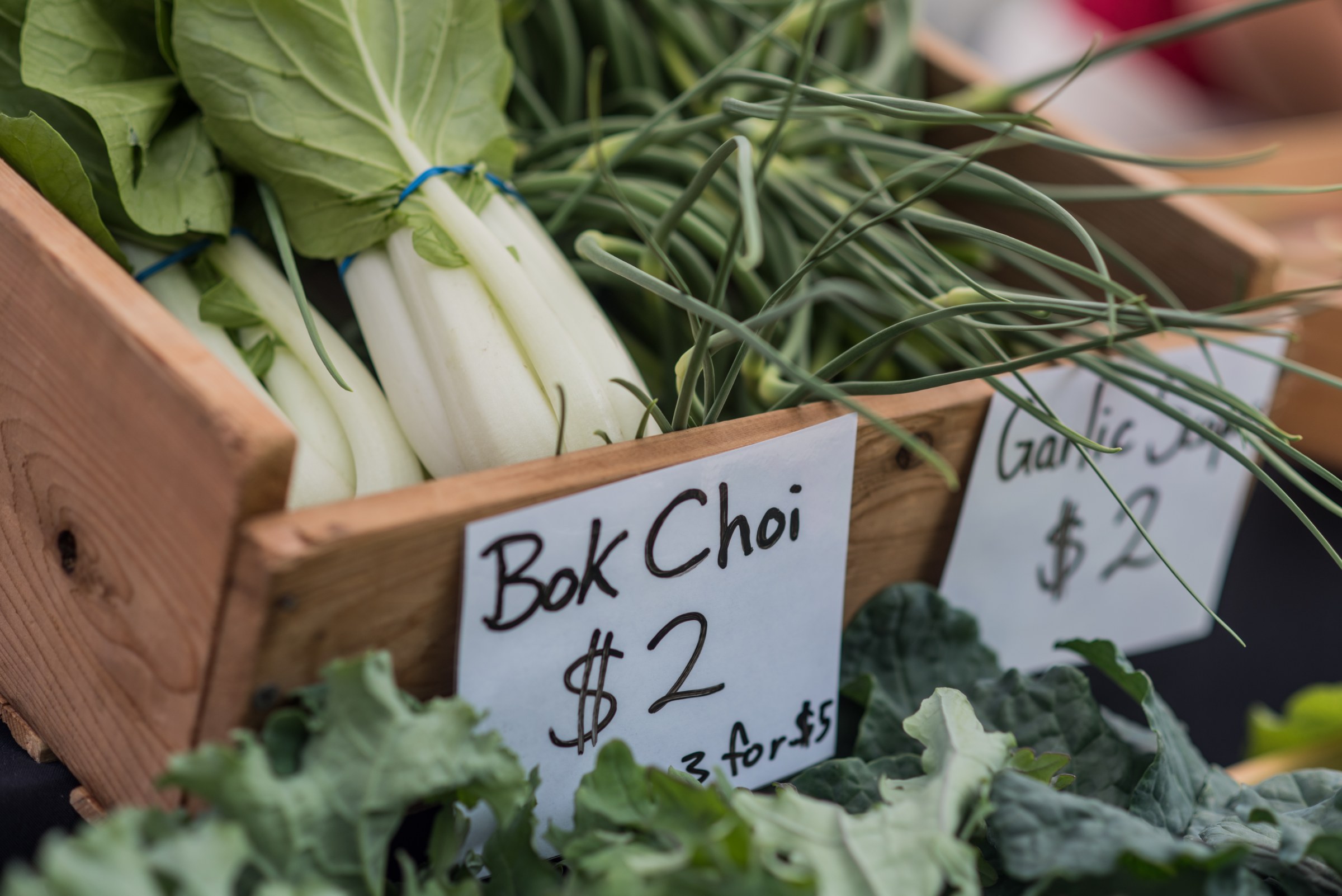 Fresh organic bok choi and greens for sale at the All Organic Farmers' Market