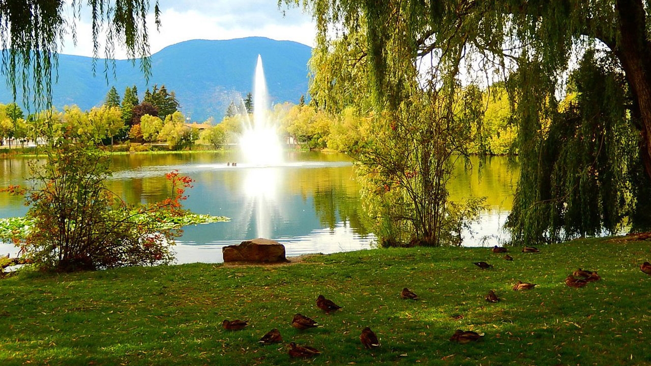 The walking loop and fountain at McGuire Lake Park