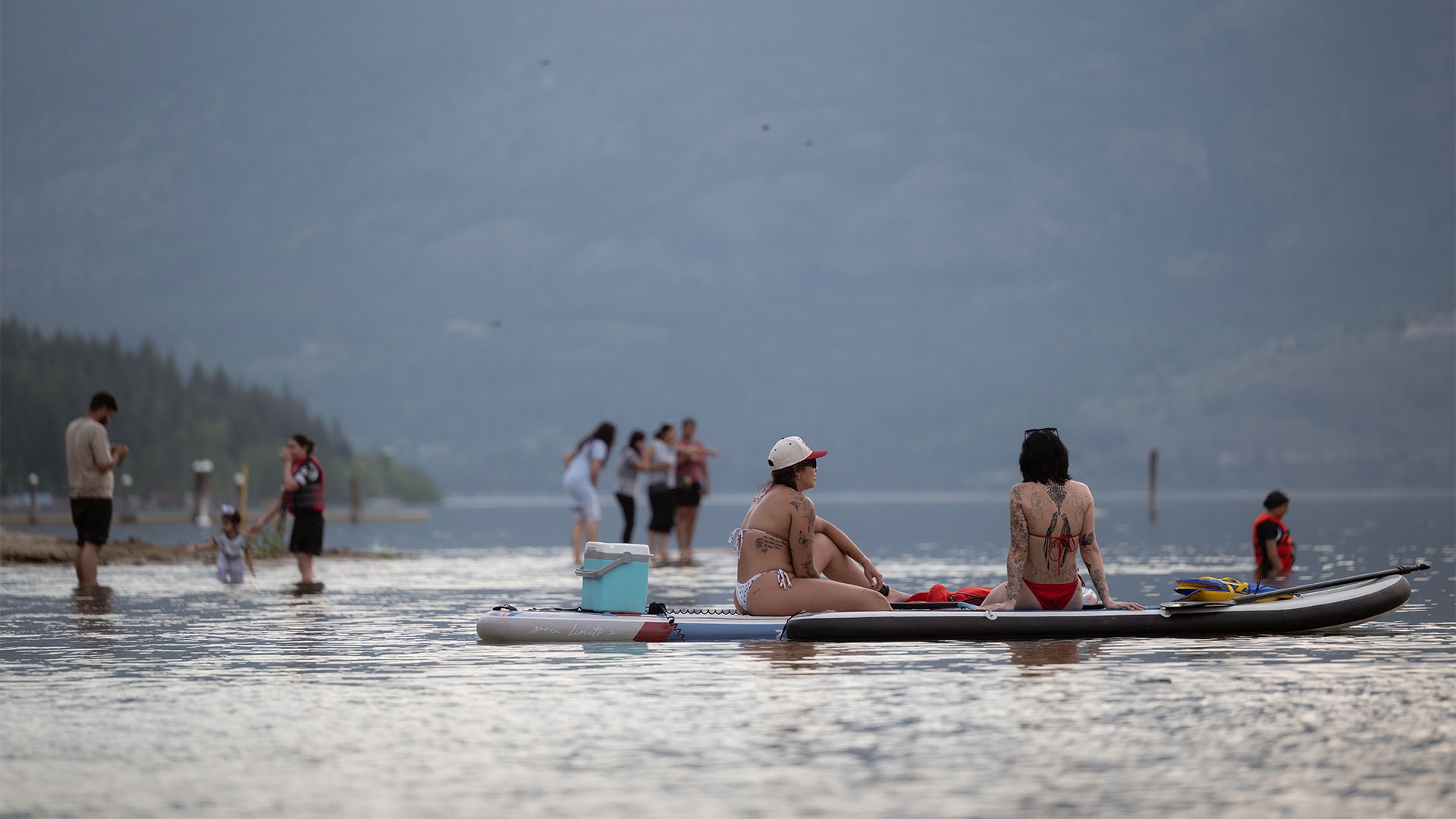 A dog playing at an off-leash Shuswap beach