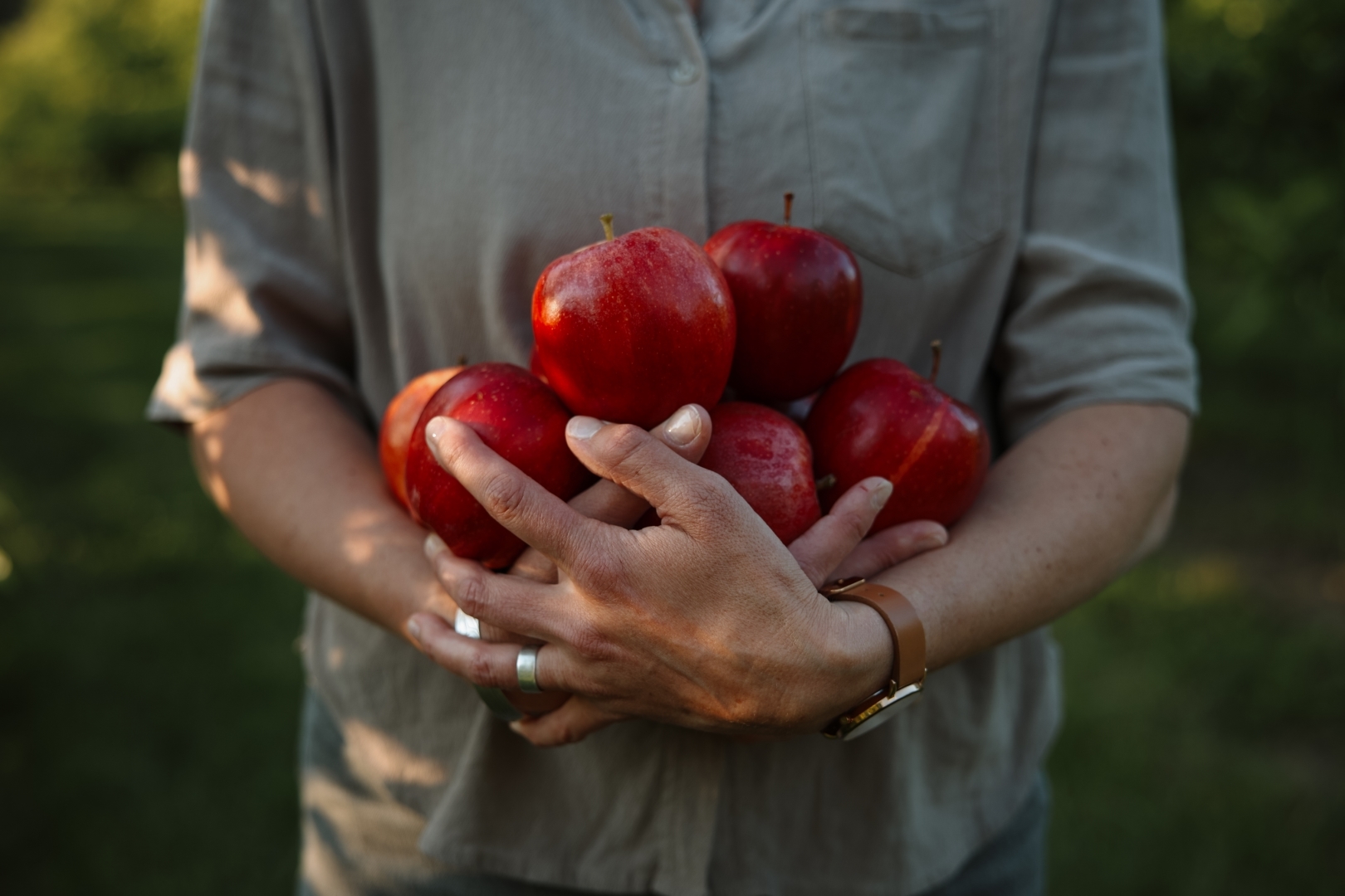Hands holding fresh-picked fruit